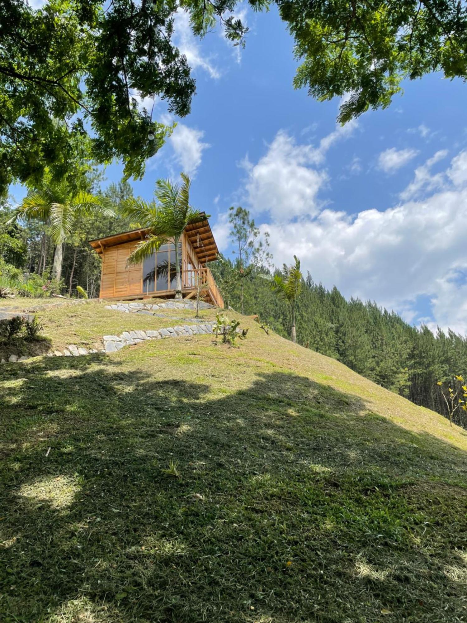 Home Boutique Natural Paradise La Vega  Kültér fotó